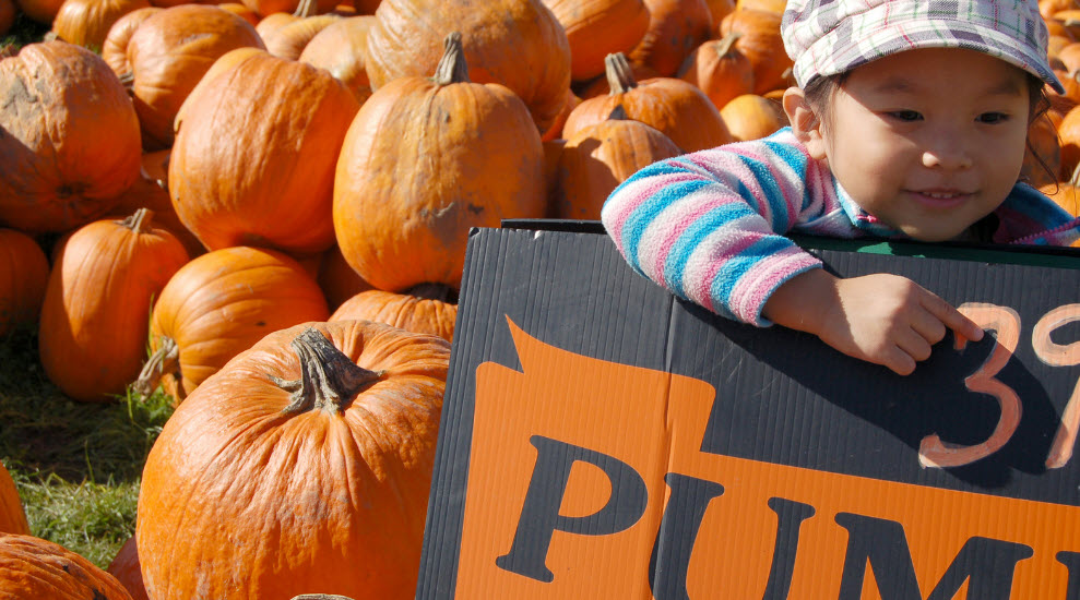 It’s time for Pumpkins, Gourds, Corn Mazes, and More around Council Bluffs!