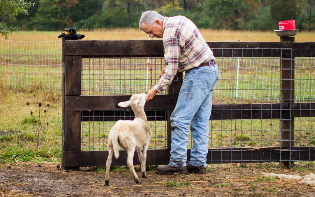 Is Homesteading a Good Retirement Option in Council Bluffs?